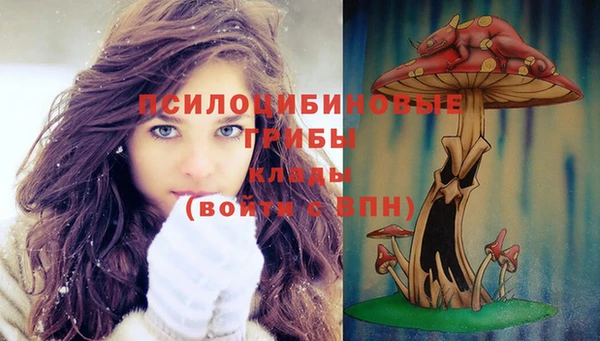 кокаин колумбия Алексин