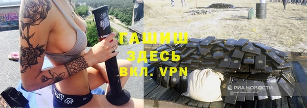 индика Алзамай