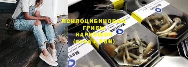 индика Алзамай
