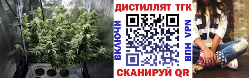 блэк спрут зеркало что такое Североуральск Дистиллят ТГК THC oil