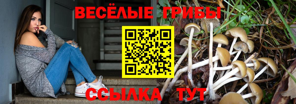 Галлюциногенные грибы Psilocybine cubensis Североуральск
