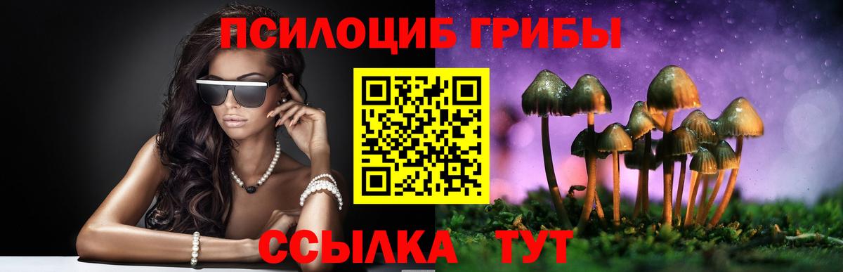 Галлюциногенные грибы Cubensis  как найти закладки  Североуральск  Вход с VPN 
